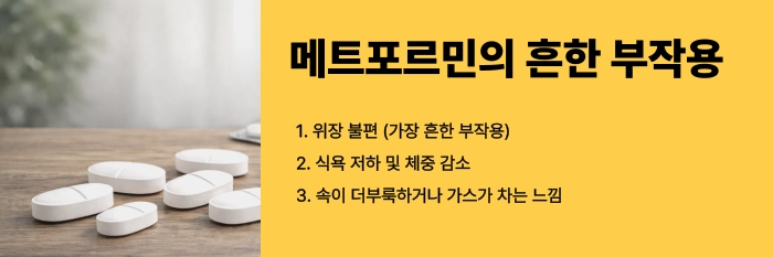 메트포르민 부작용