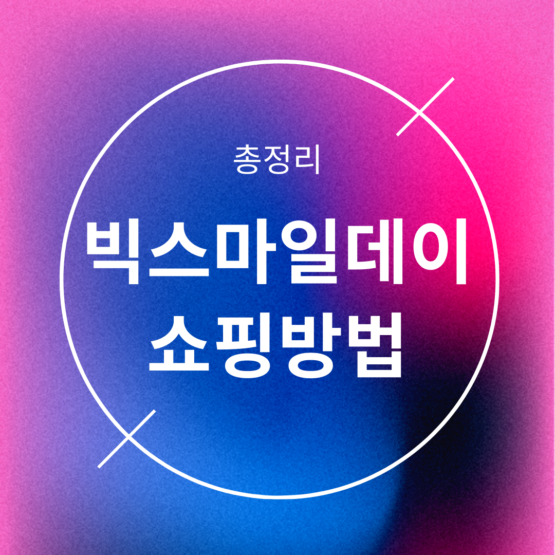 빅스마일데이 쇼핑방법