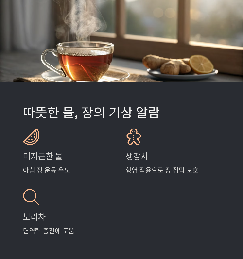 장을 살리면 면역이 달라진다! 매일 아침 챙겨야 할 식단 공개