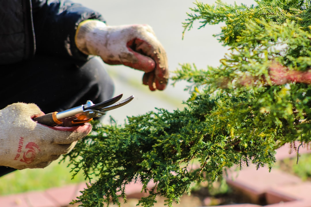 Gardening