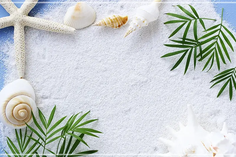 삼척-비치-썸-페스티벌-초대-가수-라인업-일정-프로그램