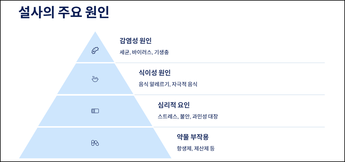 설사의 주요 원인