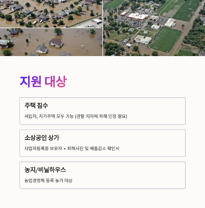 2025 재난지원금