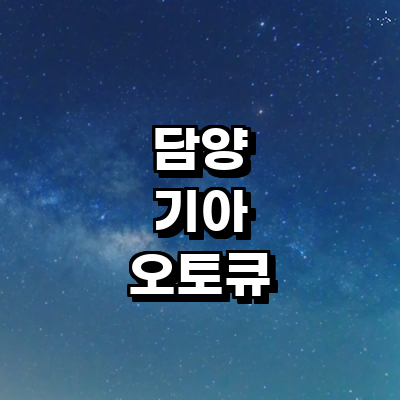 담양군 기아 오토큐