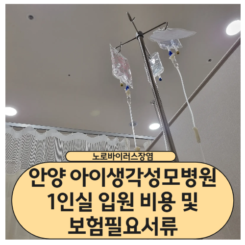 안양아이생각성모병원-1인실입원비용-보험필요서류