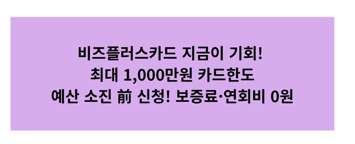 소상공인 비즈플러스카드 지원사업 총정리｜자격&middot;혜택&middot;신청 순서(예산 소진 시 조기 마감)