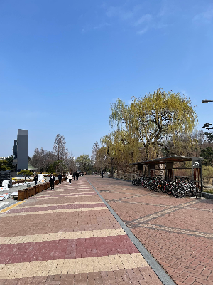 산책과 러닝이 공존하는 공원 풍경