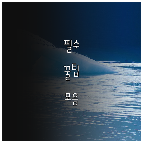 2025 남양주시 다자녀 종량제 봉투..