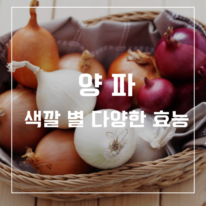 양파