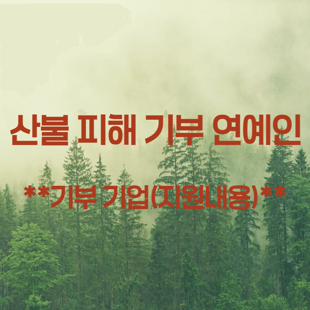 산불 피해 기부 연예인