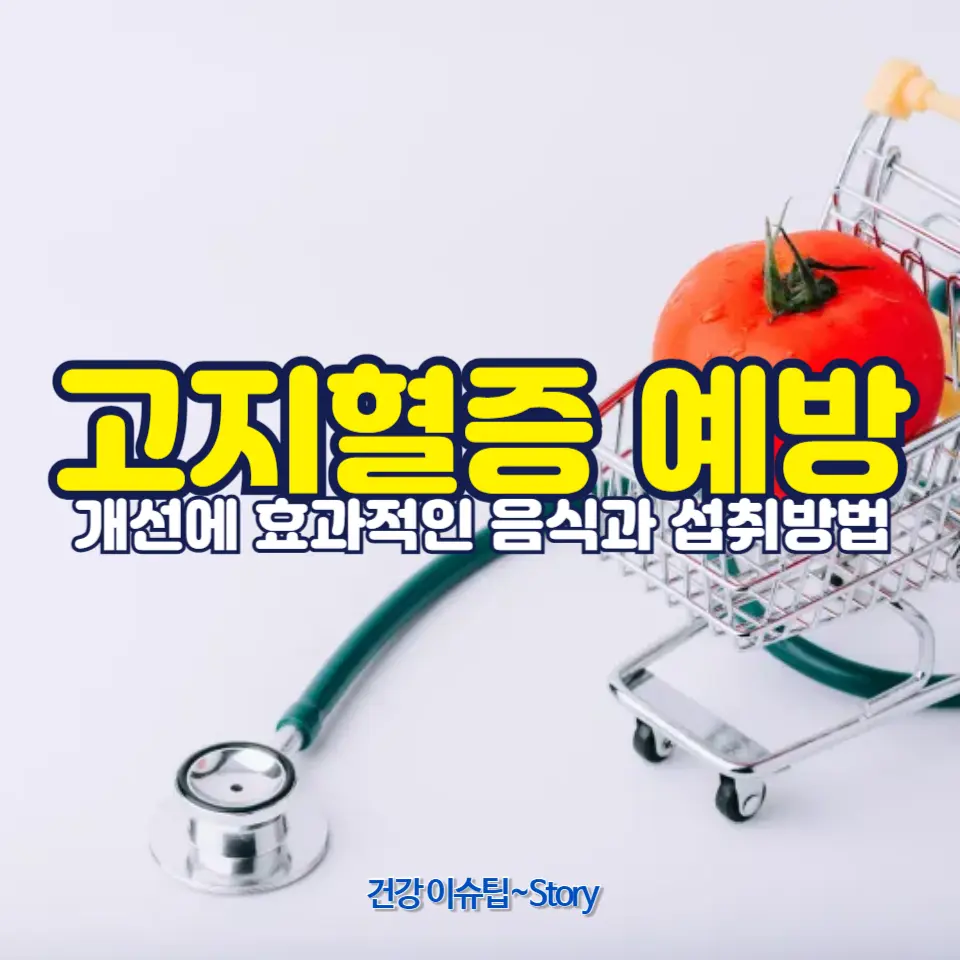 고지혈증을 관리