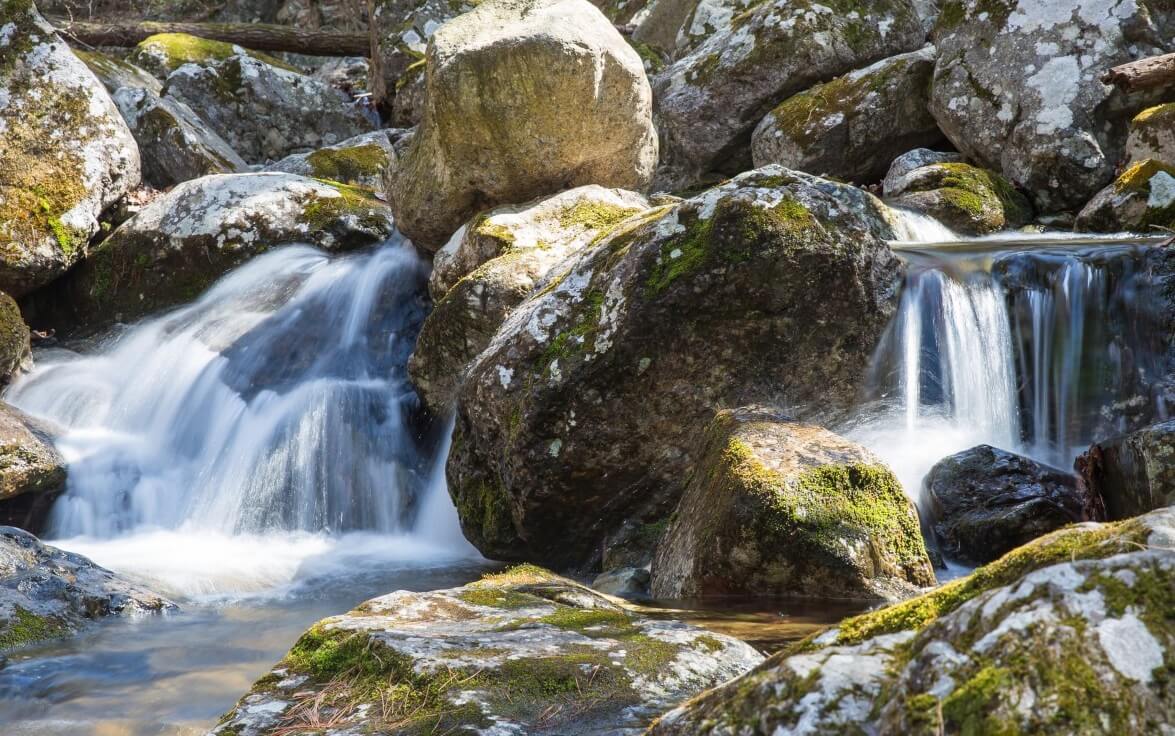 울진대게축제 주차장 프로그램 기간 이찬원 출연