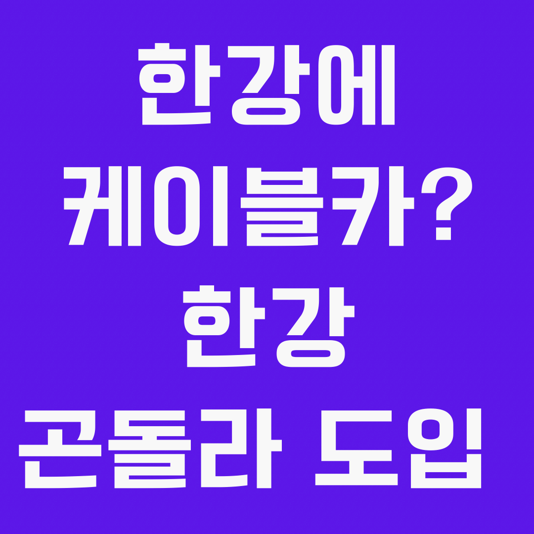 한강 곤돌라 도입