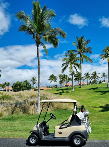 하와이 빅아일랜드 킹스랜드 골프클럽 이미지