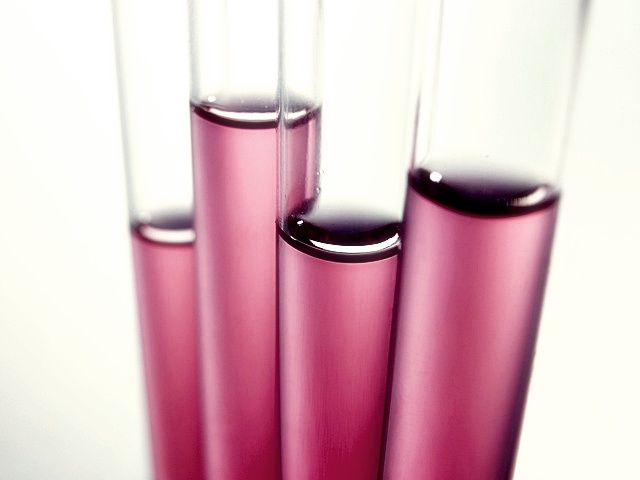 올릭스 주가분석