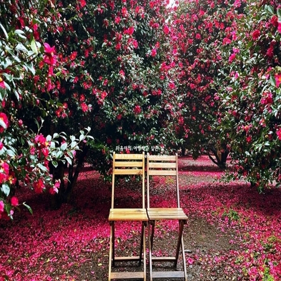 1월에 가볼만한 국내 여행지 베스트10