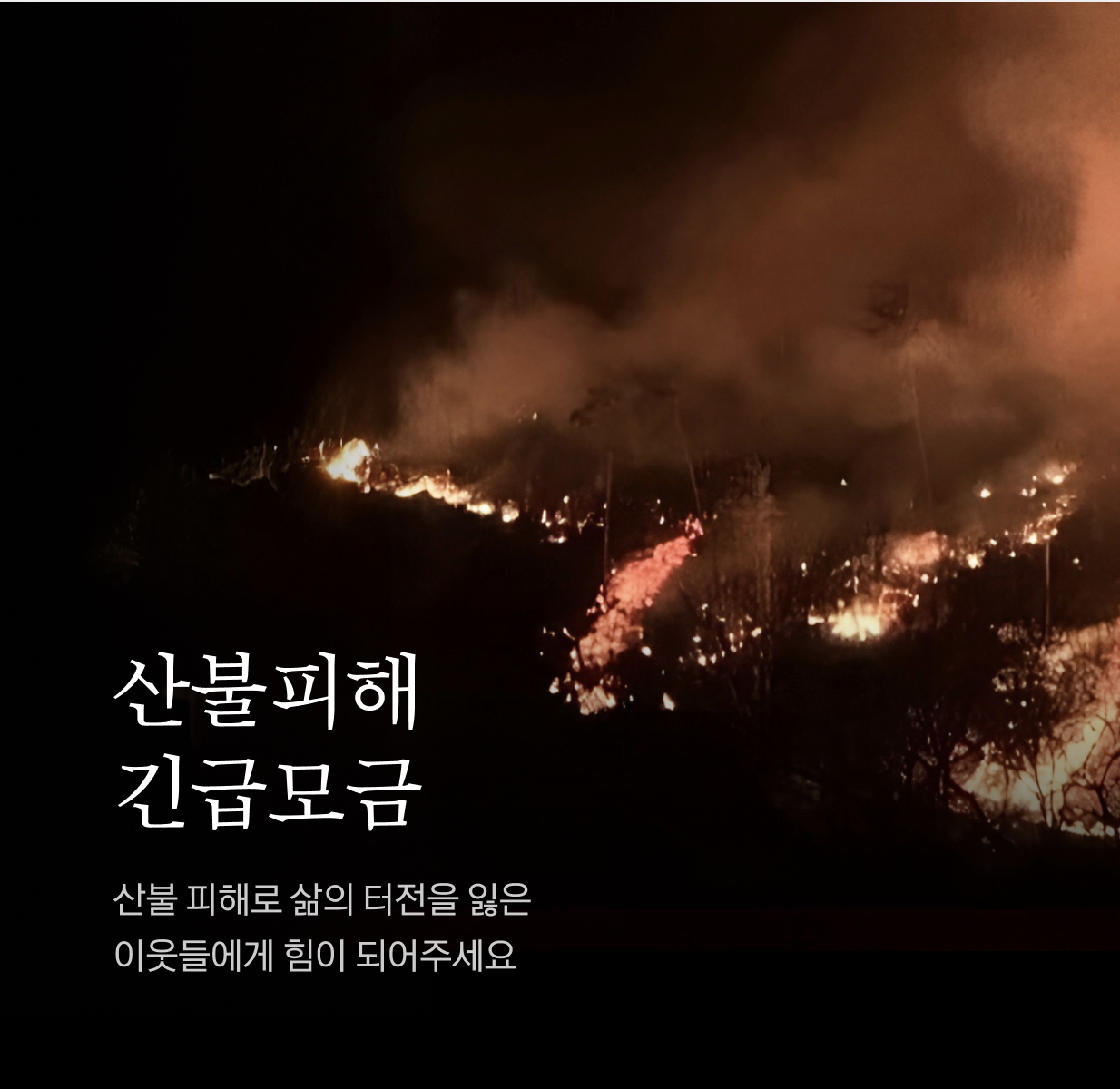 산불피해 지원, 울산-경북-경남 산불대응 중앙재난안전대책본부