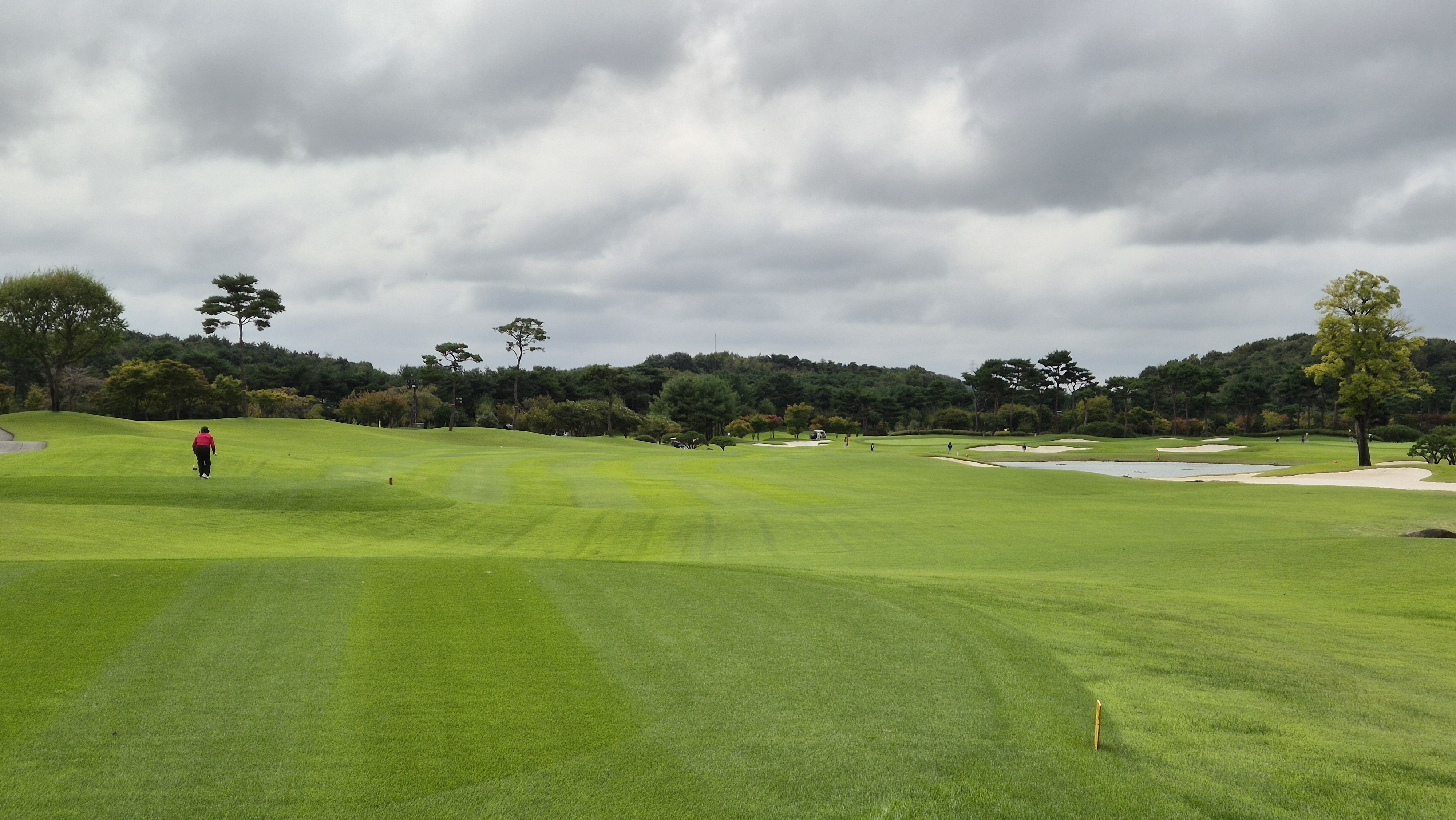 파인스톤cc 파인 코스