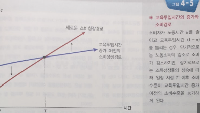 내성적 성장이론: 경제 성장의 새로운 패러다임