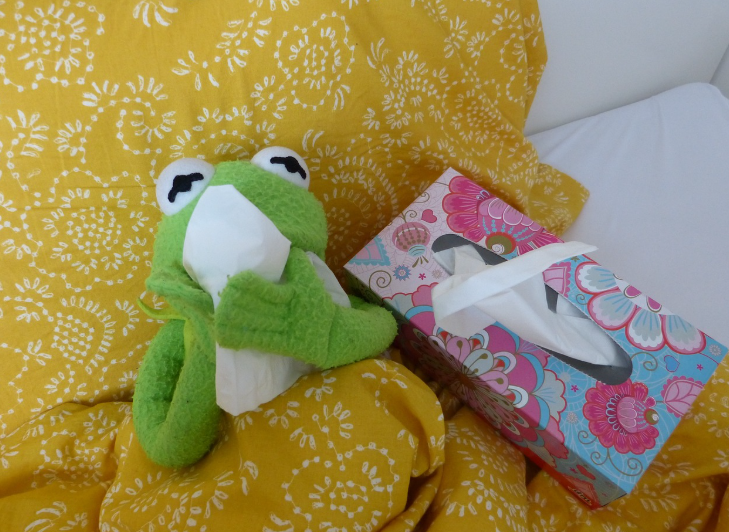 감기로 인해 기침하고 있는 사진