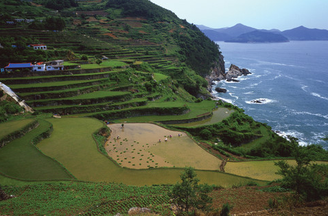 출처- 다랭이마을 업체사진 남해 여행코스 BEST6 추천 힐링 감성 남해 핵심코스 총정리