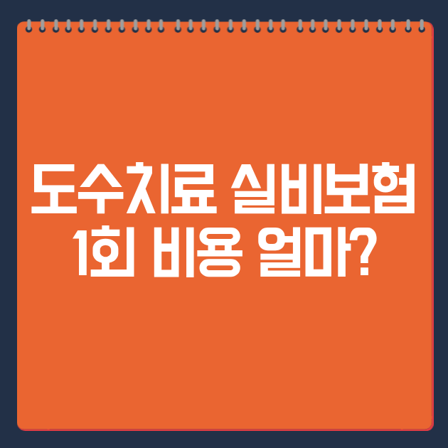 도수치료 실비보험 1회 비용 얼마?