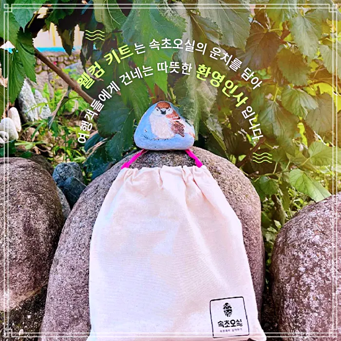 생생정보 속초 2박 3일 살아보기 체험 소개 방송