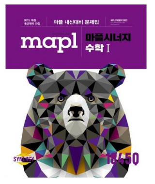마플 시너지 수1 대표사진