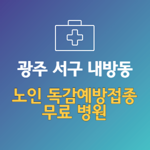 광주 서구 내방동 노인 독감예방접종 무료 병원