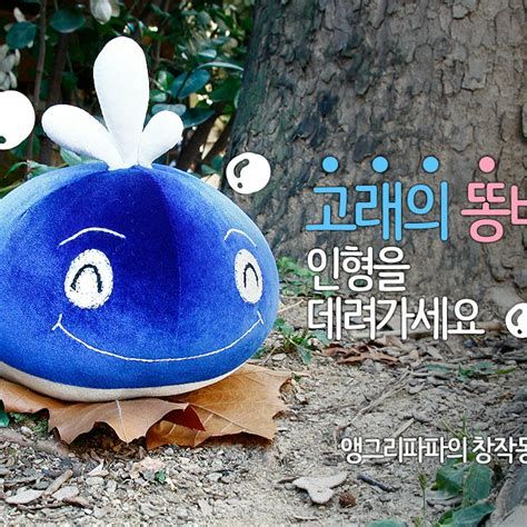 똥배빼는법