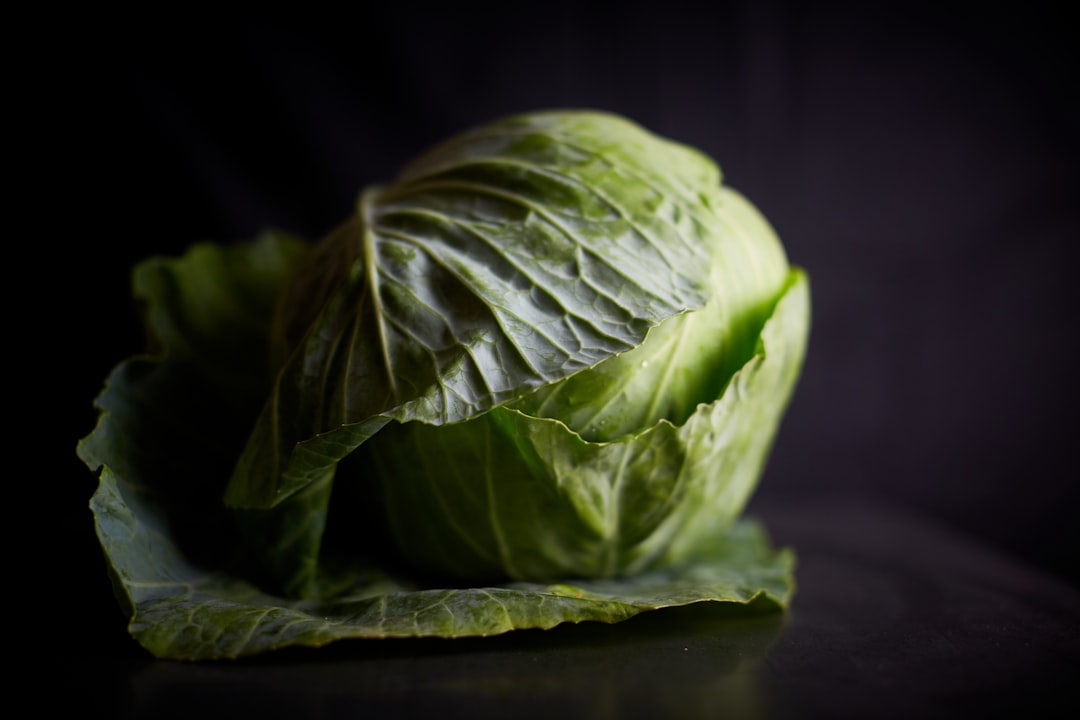 Cabbage