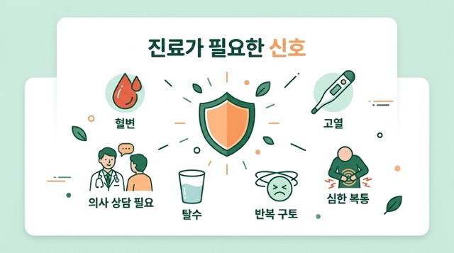 장염 증상 주의사항 이미지