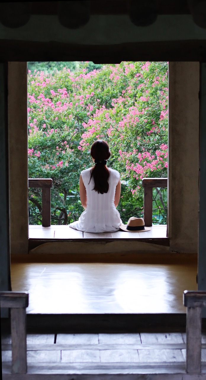 배롱나무 이미지