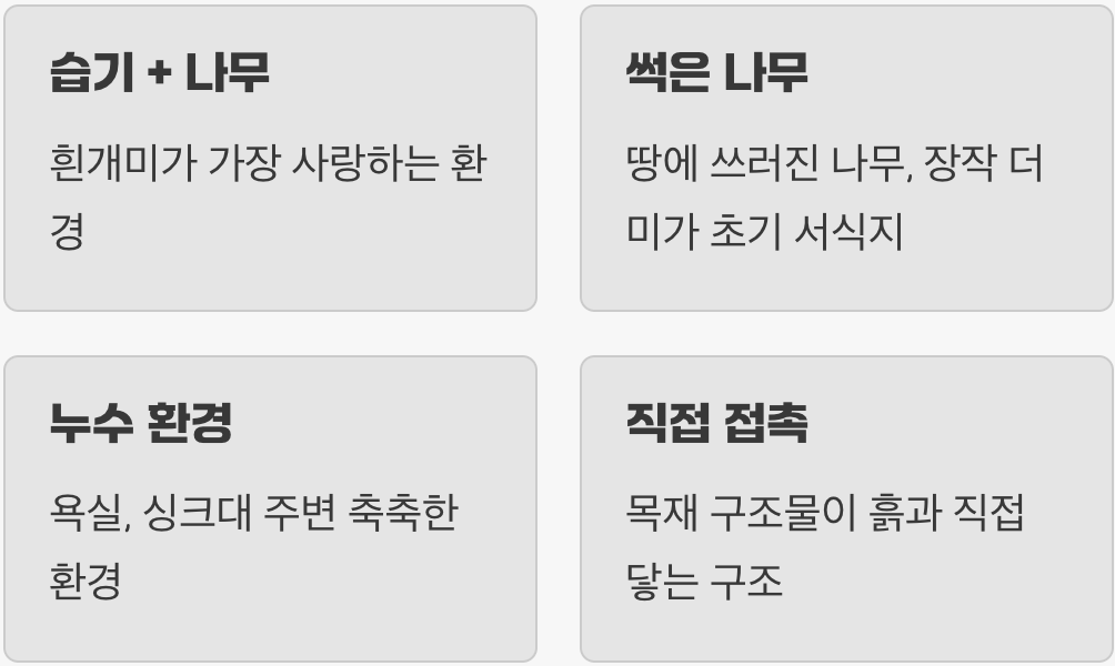 우리 집이 표적이 된 이유