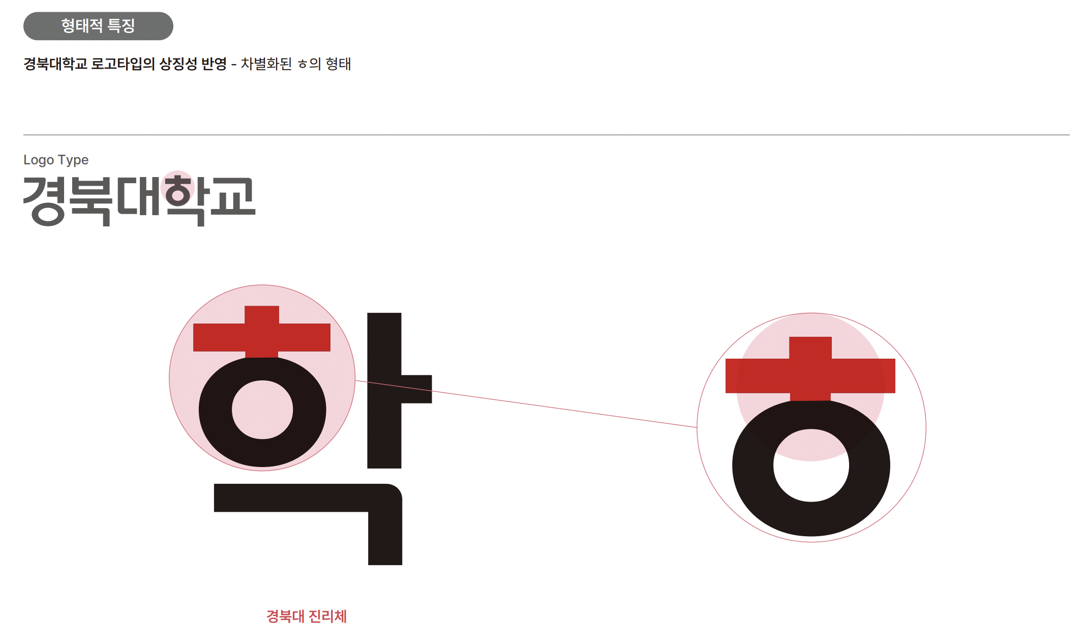 경북대 진리체 형태적 특징