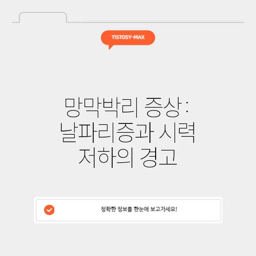 망막박리 증상: 날파리증과 시력 저하의 경고