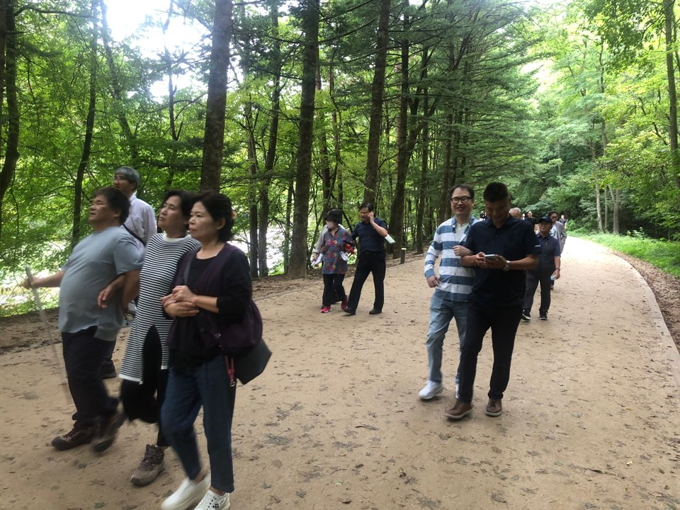 오대산 전나무 숲길을 걷는 모습