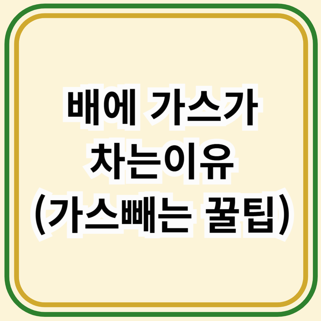 배에 가스차는 이유 알아보기 (+즉시 가스빼는 꿀팁)