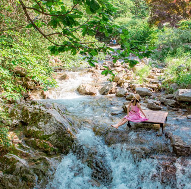 아침고요수목원