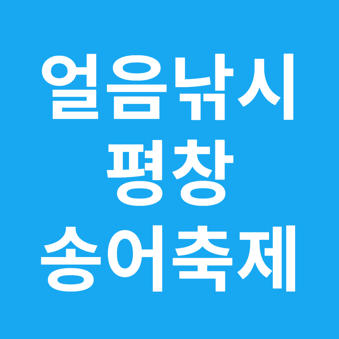 평창 송어축제