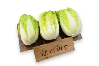 알배기 배추 물김치 담그는 법 및 보관 방법 총정리_10