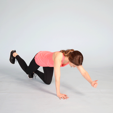 네번째, 버드독