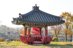 여름철 온열질환 예방 삼계탕 vs 오이냉국