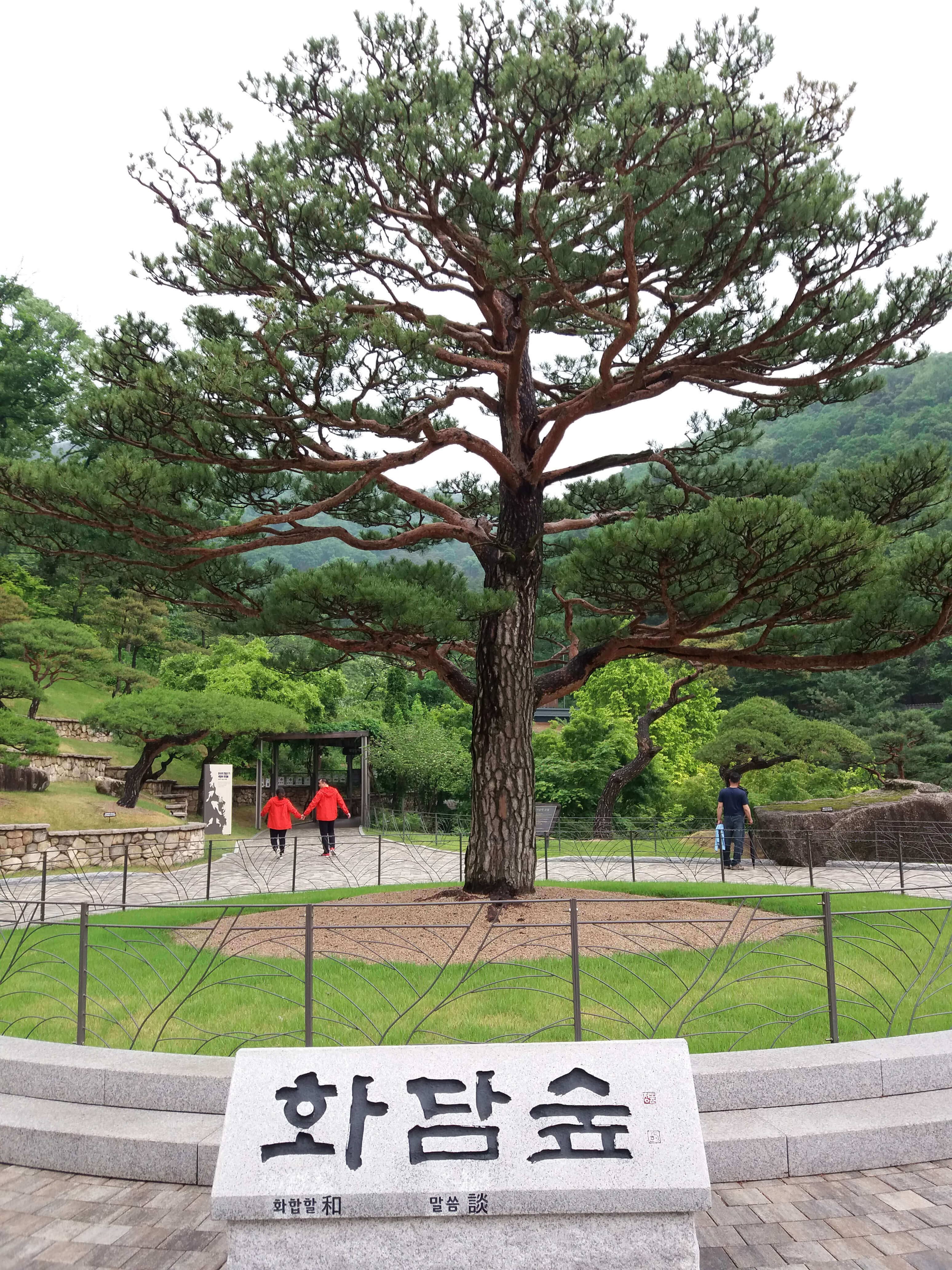 화담숲 정보