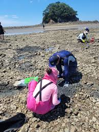 겨울 안면도 꽃지해변 일몰부터 빛축제 2박 3일 코스 가이드