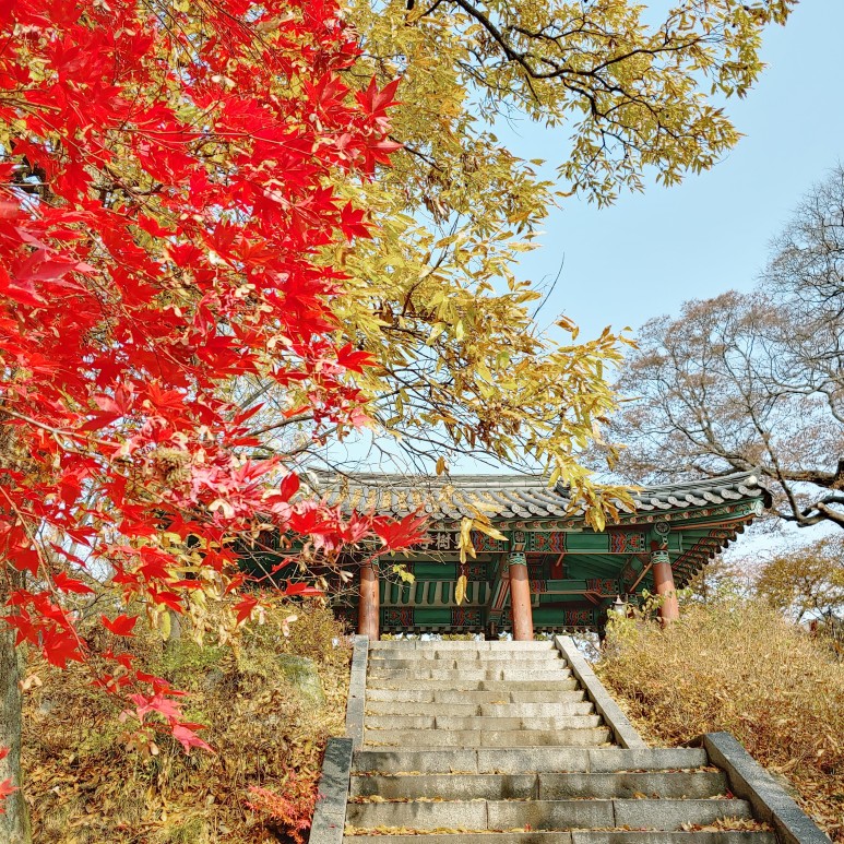 단풍명소