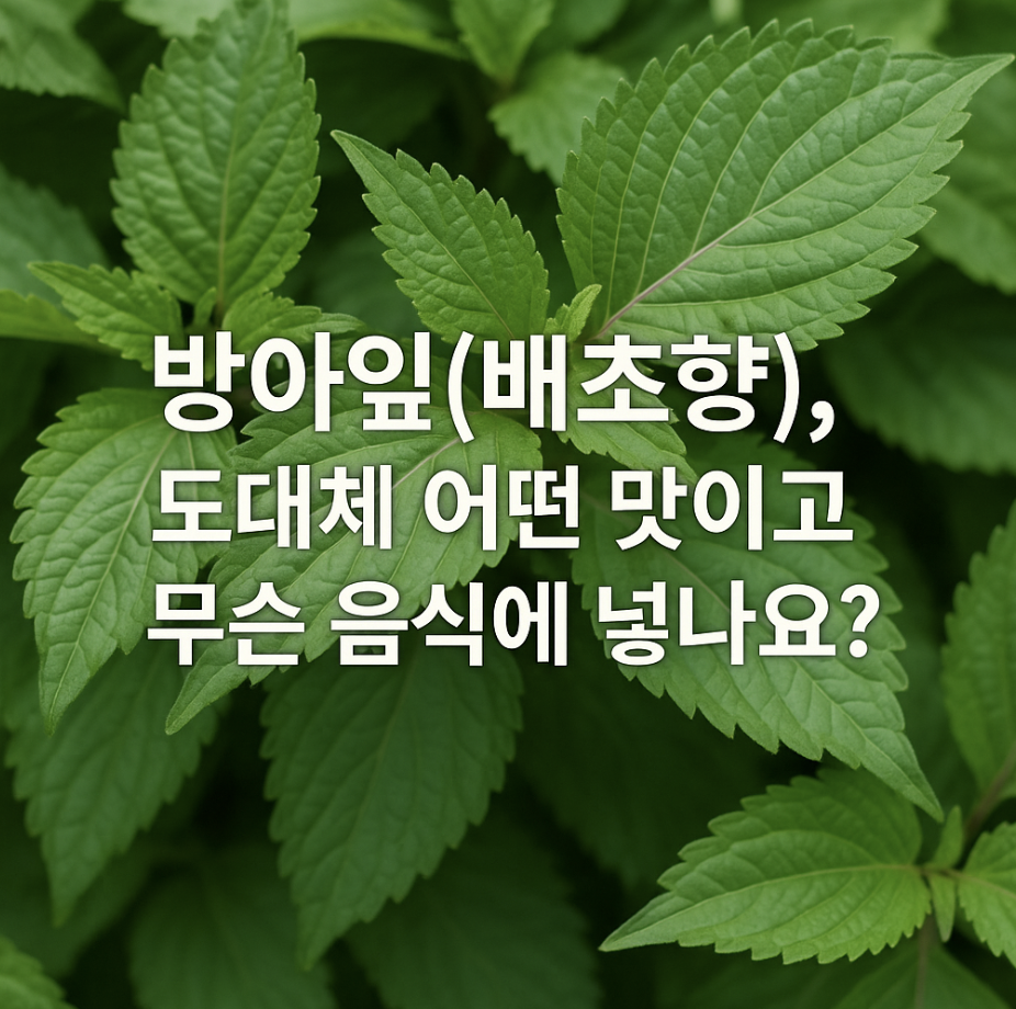 방아잎(배초향), 도대체 어떤 맛이고 무슨 음식에 넣나요?