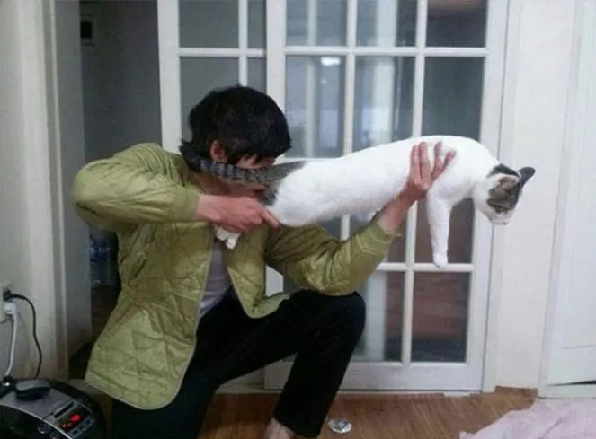 포토샵 실제 전투처럼 보이게 해주세요