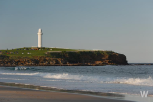 울릉도 관광안내 4