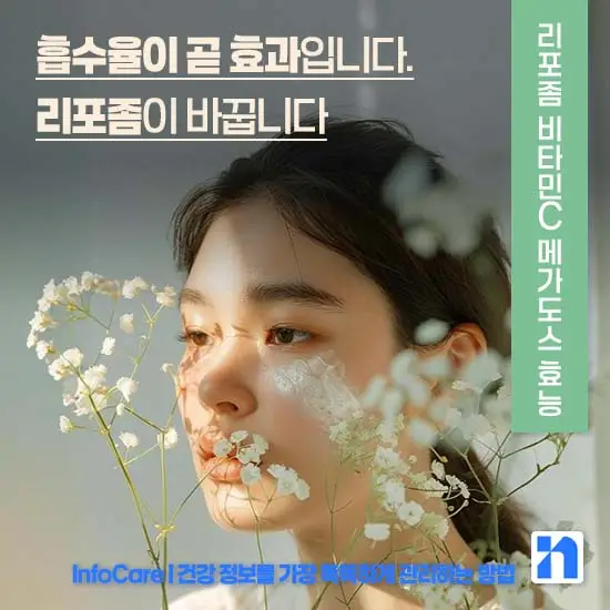 리포좀 비타민C 메가도스 효능